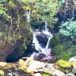 Ghorepani Poon Hill Trek - 9 days
