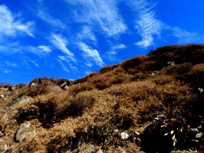Langtang Gosaikunda Trek
