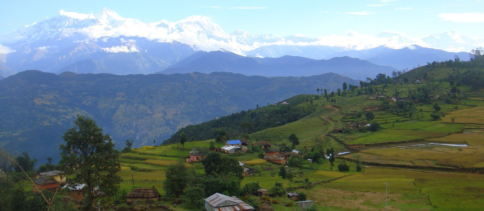 Romantik ehtirosli jinsiy aloqa Talaba bilan birinchi anal jinsiy aloqa