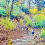 Poon Hill Trek